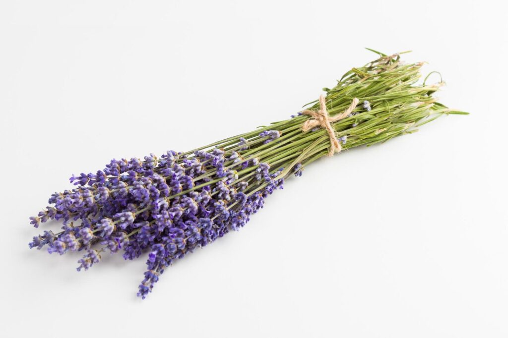 Ramo de flores de lavanda.